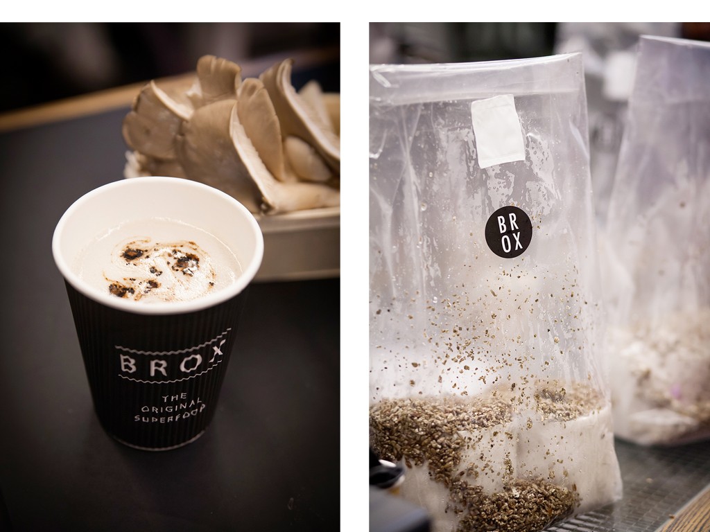 Superfood: Reportage